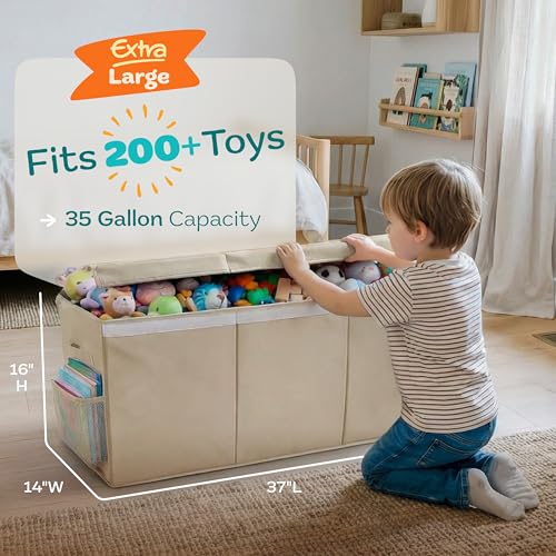 Extra Large Toy Storage Organizer with Lid