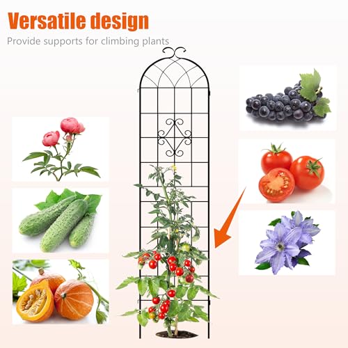 78.4 x 40in Rustic Iron Arch Decoration Garden Trellis with Black Metal Coating (2 Count)