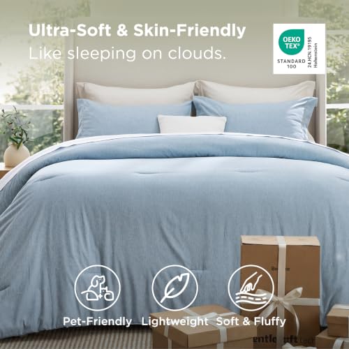 Light Blue Queen Comforter Set