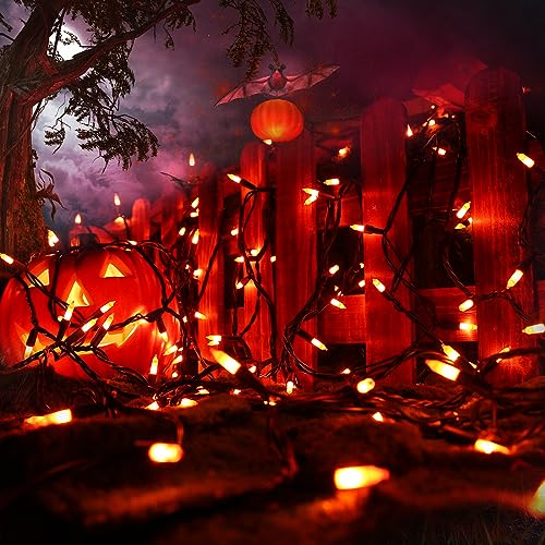 Orange Halloween Lights (12.5 Foot)