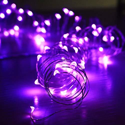 6 Pack Fairy Lights Battery Operated 10ft Silver Wire 30 LEDs Purple (6 Count)