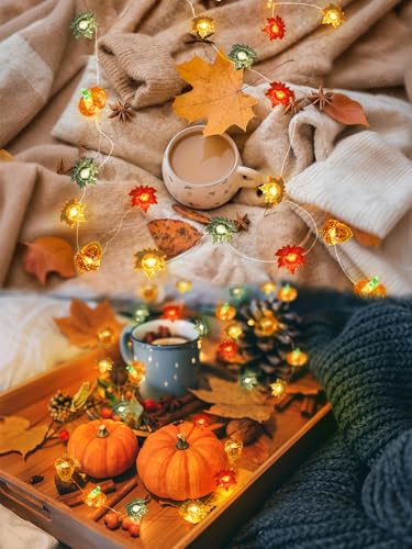 Fall Decor 3D Pumpkin Acorn Maple Leaf Fairy Lights Battery Operated Remote