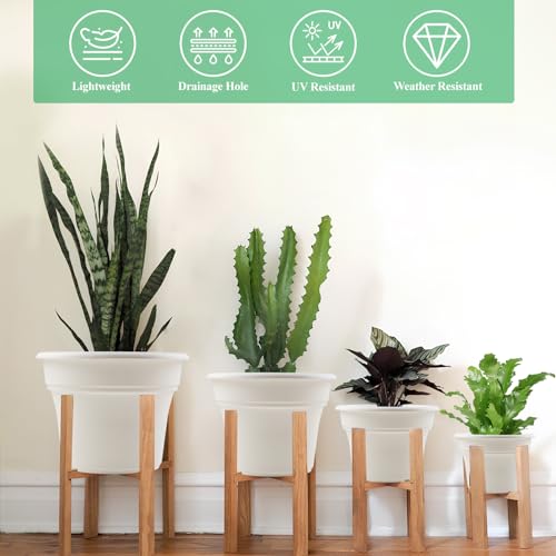 6 Inch Plastic (6 Count)