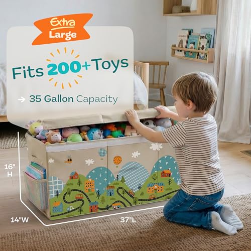Extra Large Toy Storage Organizer with Lid