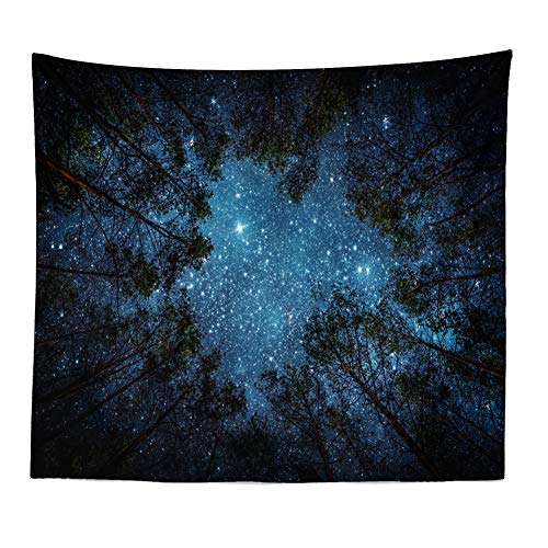 Forest Landscape Tapestry for Living Room & Bedroom