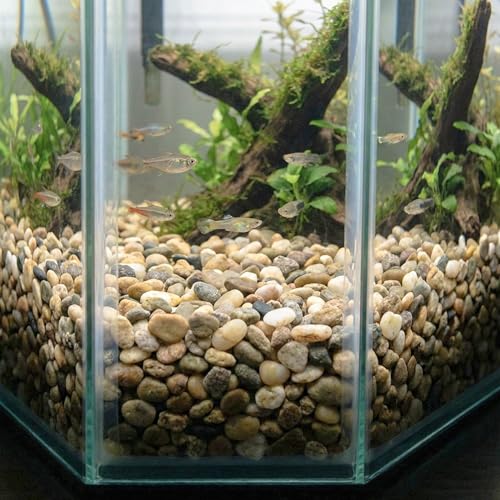 River Rocks Aquarium Gravel (30 Count (pounds))
