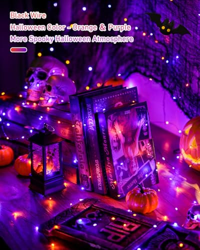 Solar Halloween Lights Orange and Purple (66 Foot)