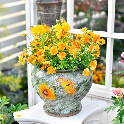9 Inch Hand Painted Ceramic Succulent Plant Pots