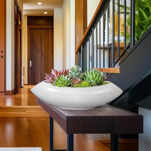 Ceramic Bonsai Tree Pot