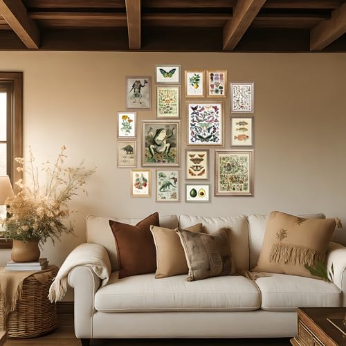 16 Pcs Unframed Vintage Botanical Biology Art (17 Count)