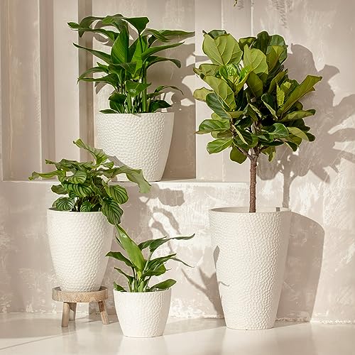Hanging Planters for Outdoor Plants