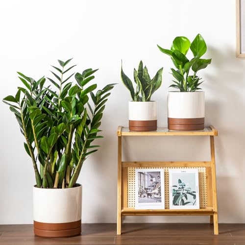 Ceramic Pots for Plants (3 Count)