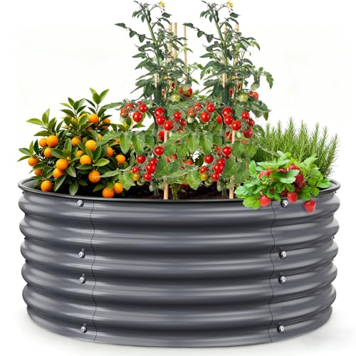 Galvanized Raised Garden Bed