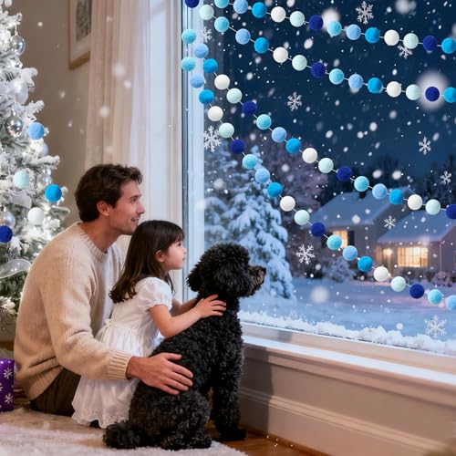 4 Pack 26.3 Feet Colorful Pom Pom Garland Decorations (26.5 Foot)
