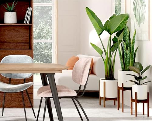 Large Planter for Indoor or Outdoor (3 Count)