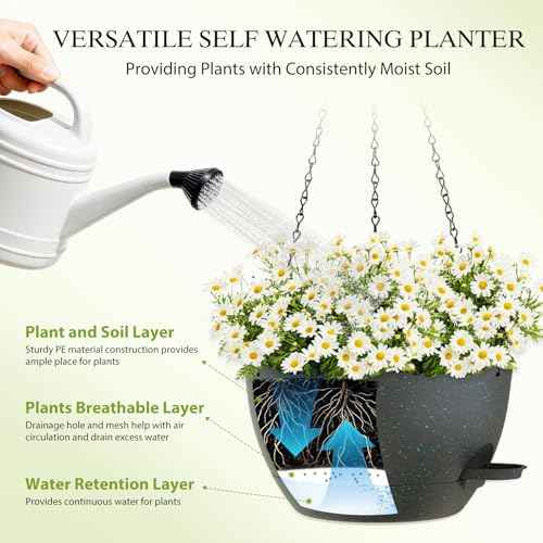 10 Inch Hanging Baskets 2 PC with Chains (2 Count)