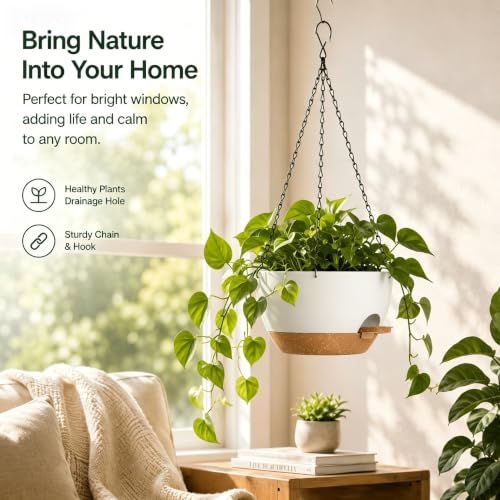 12 Inch Self Watering Hanging Planters 2 Pack (2 Count)