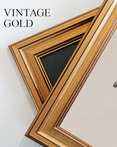 Vintage Gold Framed Wall Art