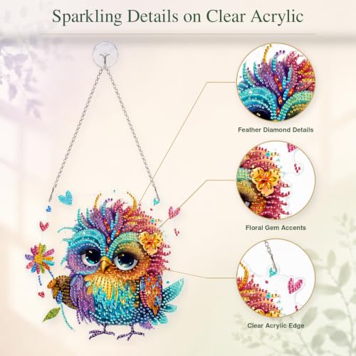 Owl Diamond Art Kits for Adults