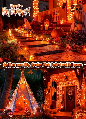 2 Pack Orange Halloween Mini Lights (2 Count)