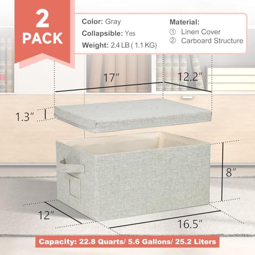 Storage Bins With Lids Closet Organizer Cabinet Box For Clothes (2 Count)