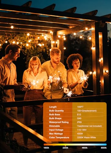 Outdoor String Lights (100 Count)