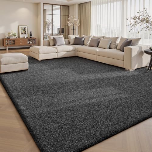 Area Rugs 9x12 for Living Room Bedroom (108 Sq Ft)