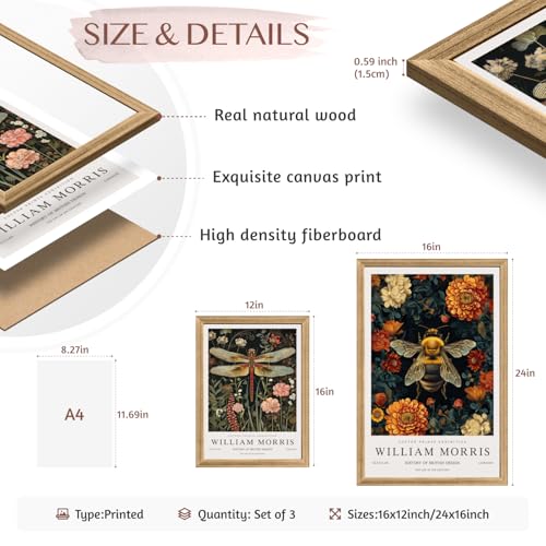 Wood Framed Morris Dragonfly Floral Wall Art Set of 3 (3 Count)