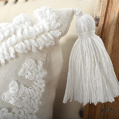 Boho Throw Pillow Covers 20x20 Tufted Tassels for Sofa Off