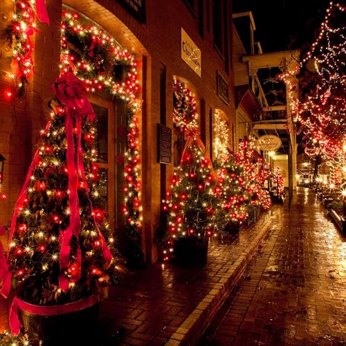Red & Warm White Christmas Lights Connectable (100 Count)