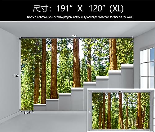 Redwood Forest Wallpaper Green Woodland Tree Wall Mural for Bedroom