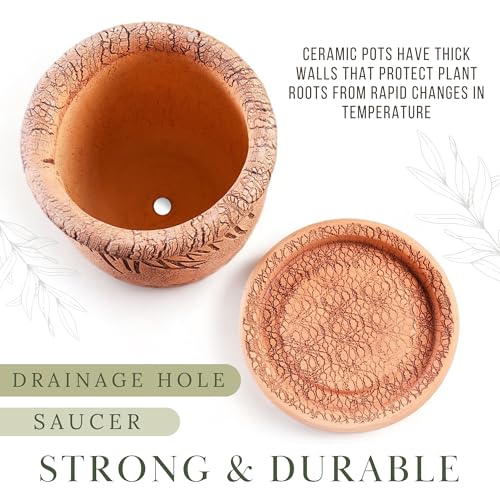 Ceramic Pot with Drainage Hole and Saucer