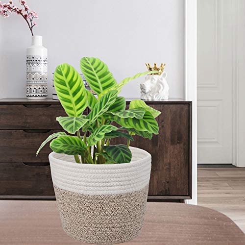 Cotton Rope Plant Woven Basket for 6" Pot H6 3