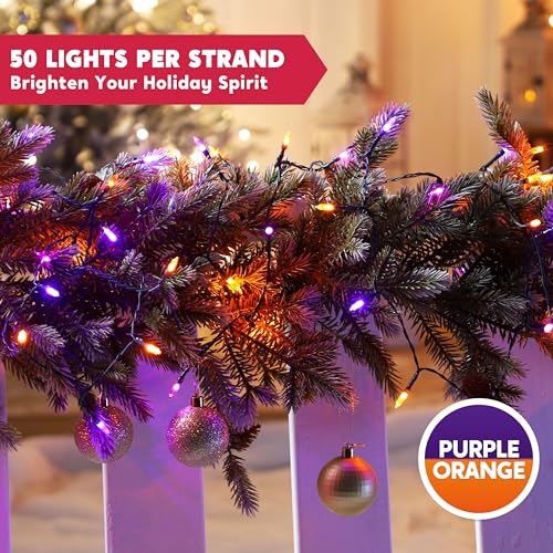 16.3FT Orange&Purple Halloween Lights