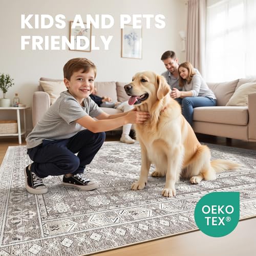 5x7 Area Rugs for Living Room
