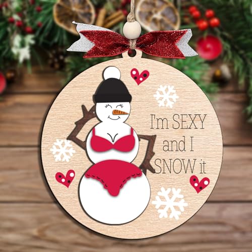 Funny Holiday Ornament 2025