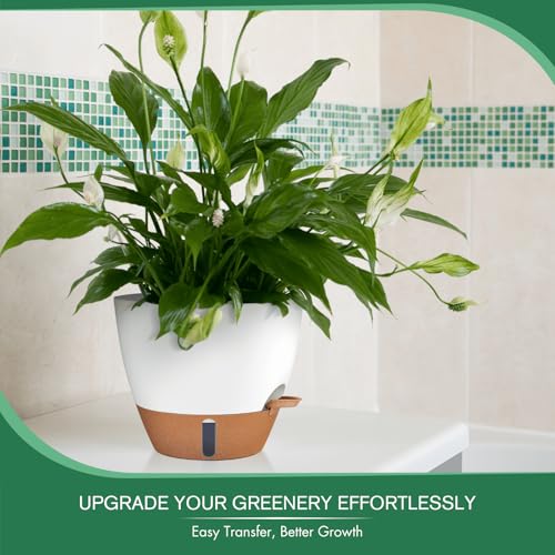 2 Pack 10 inch Plant Pots (2 Count)