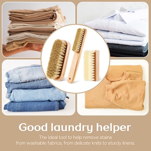 3 Pcs Wood Laundry Stain Brush Stain Remover Brushes with Boar Bristle Small Stain Brush for Clothes for Scrubbing Stains from Furniture Fabric Leather (3 Count)