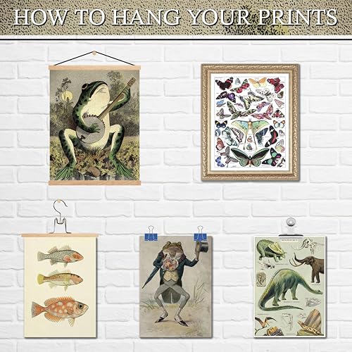 16 Pcs Unframed Vintage Botanical Biology Art (17 Count)