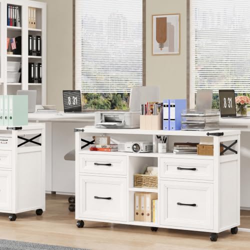 Farmhouse Filing Cabinet with Adjustable Shelf & Wheels