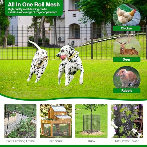 Welded Wire Fence