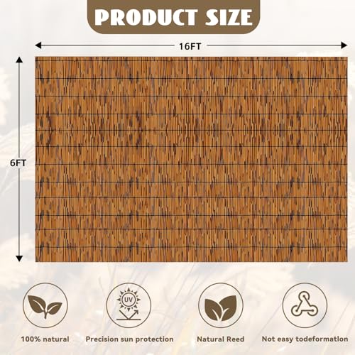 Bamboo Reed Fencing (96 Foot)