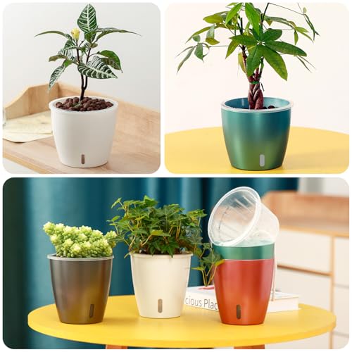 Self Watering Pots for Indoor Plants (10 Count)