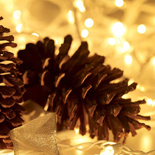 Christmas Lights 100 Count Mini Clear Lights 32ft White Wire Christmas Tree String Lights Set for Outdoor Indoor Christmas Decorations Wedding Valentines Day Decor (32 Foot)