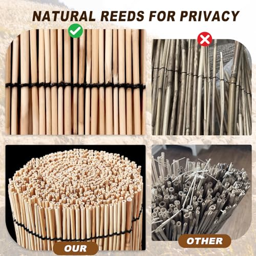 Reed Fencing Rolls (60 Sq Ft)