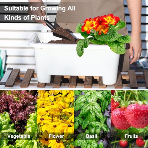 Self Watering Rectangle Planter Boxes 8 (8 Count)