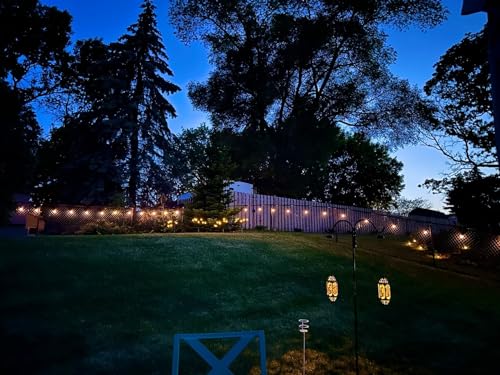 Ambience Pro Solar Powered Outdoor String Lights (48 Foot)