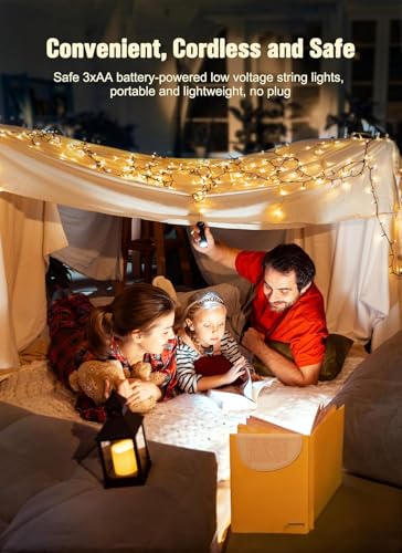 8ft 20LED Battery Operated Christmas String Lights with Timer