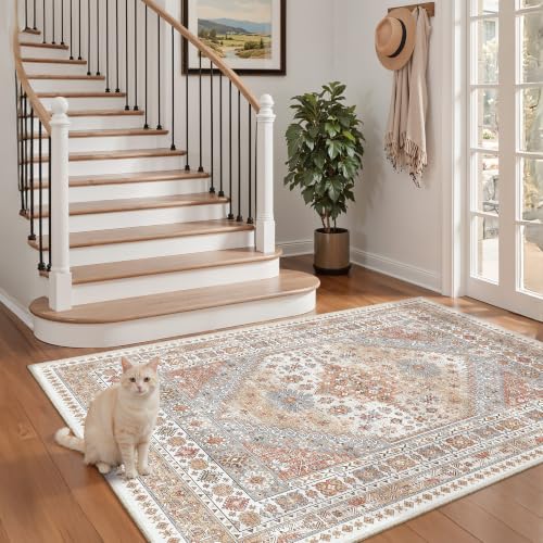 3x4 Rugs for Entryway (12 Sq Ft)