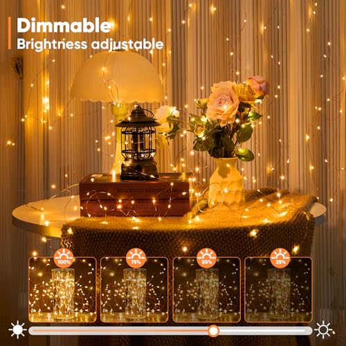 1 Pack 16.4 Ft. Battery Operated Outdoor String Lights with Remote & Timer